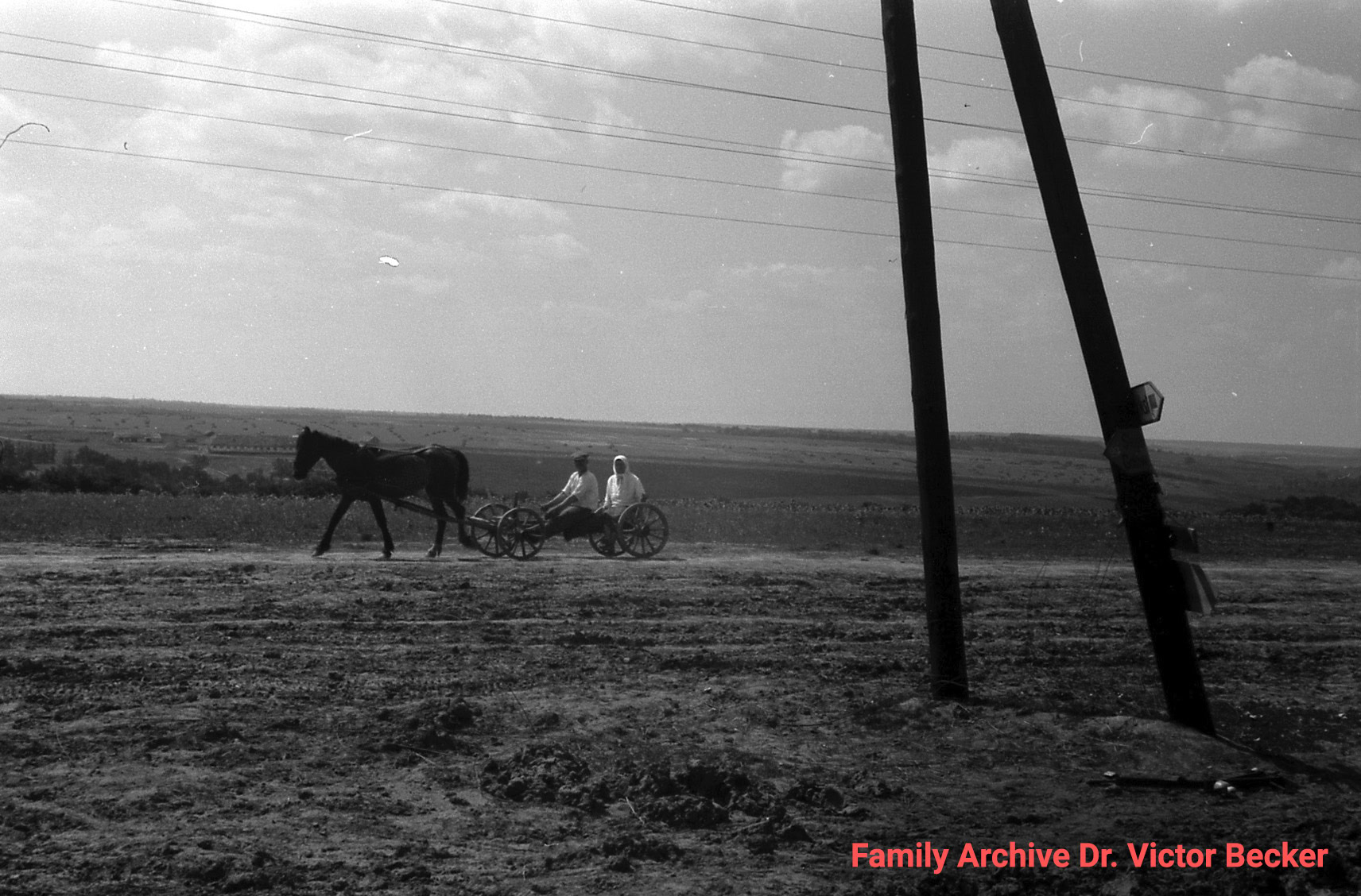 Схід України під час нацистської окупації, 1941 рік