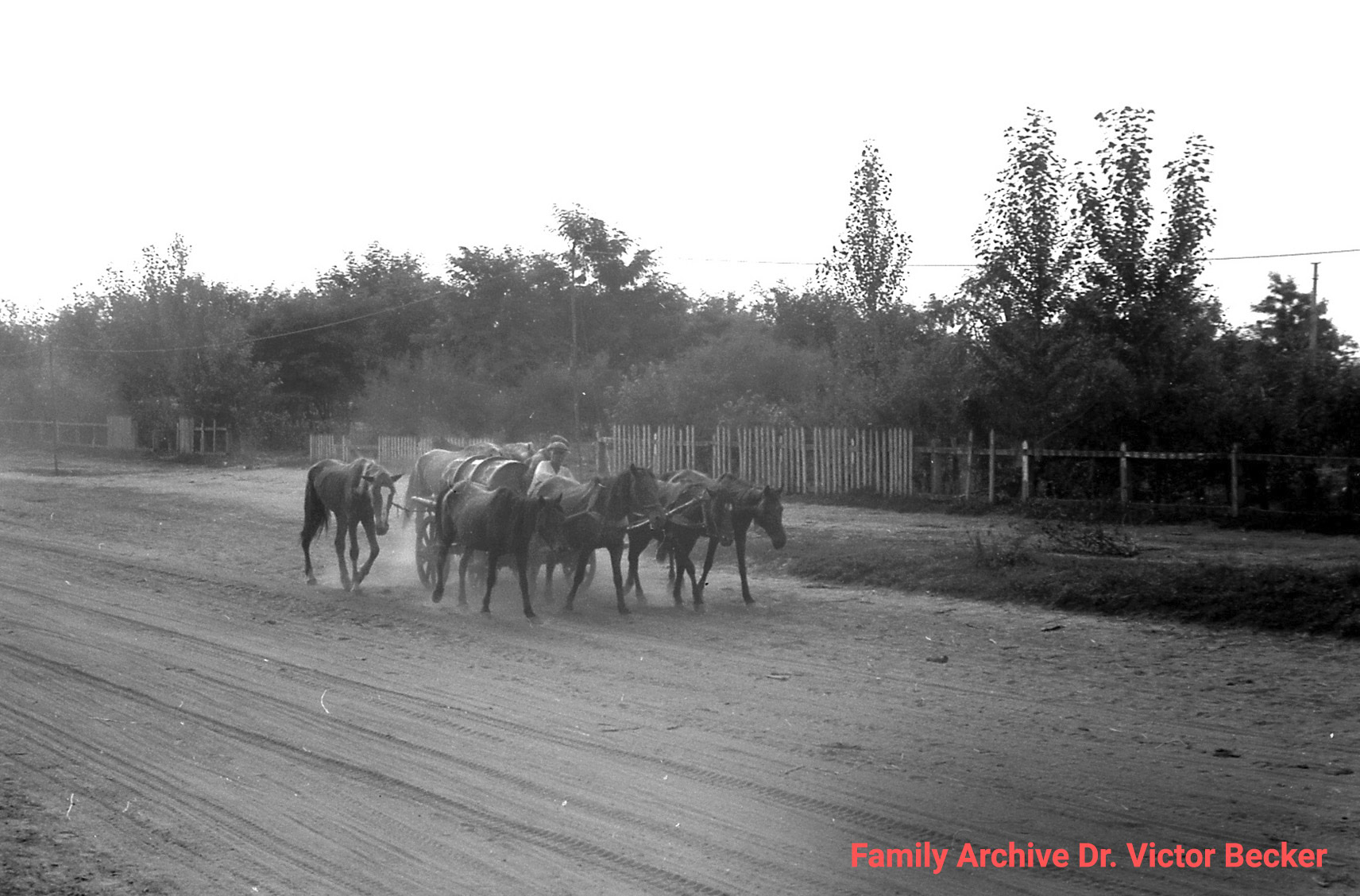Схід України під час нацистської окупації, 1941 рік