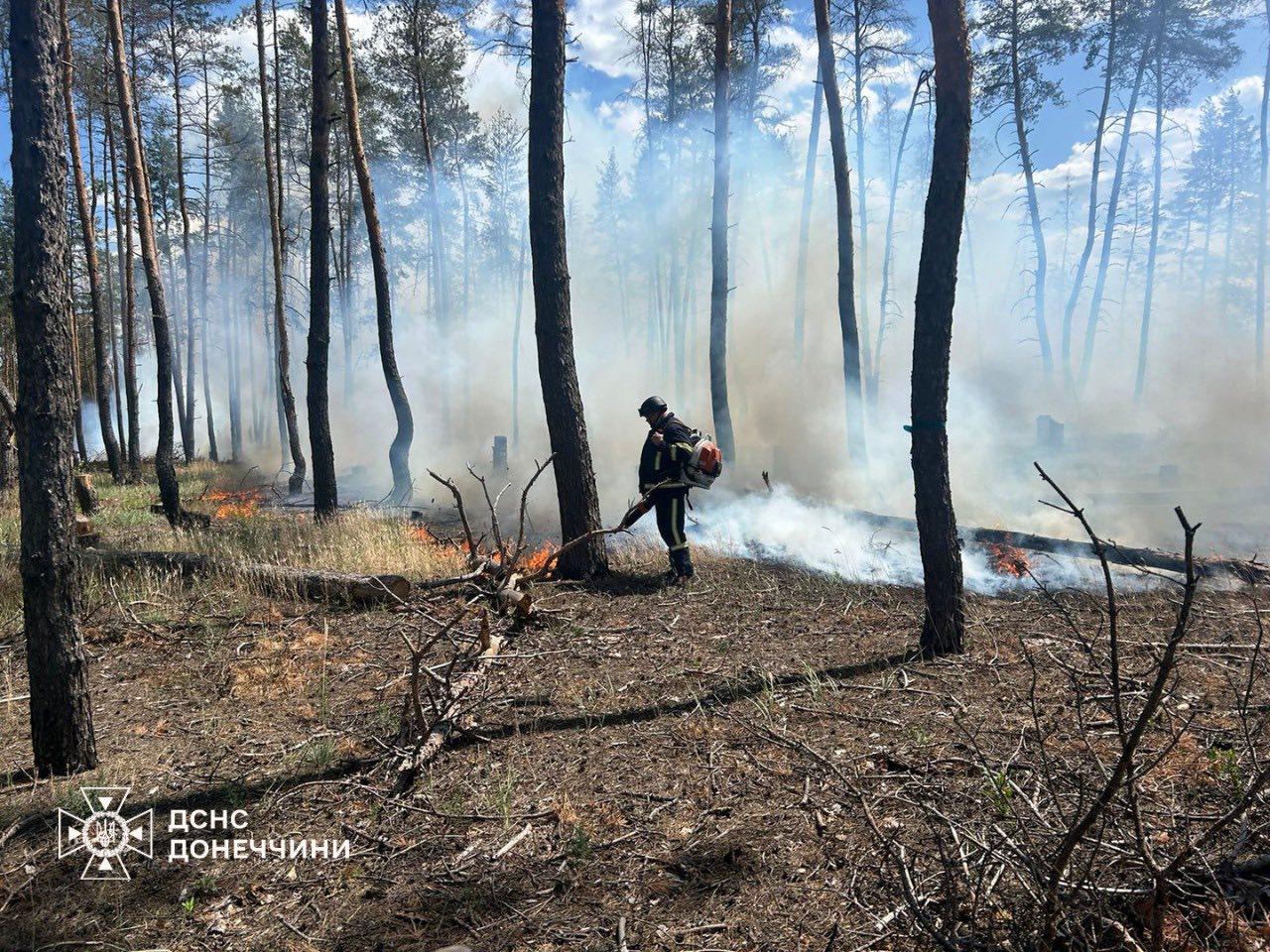 Наслідки пожежі у Донецькій області 27 червня 2025 року