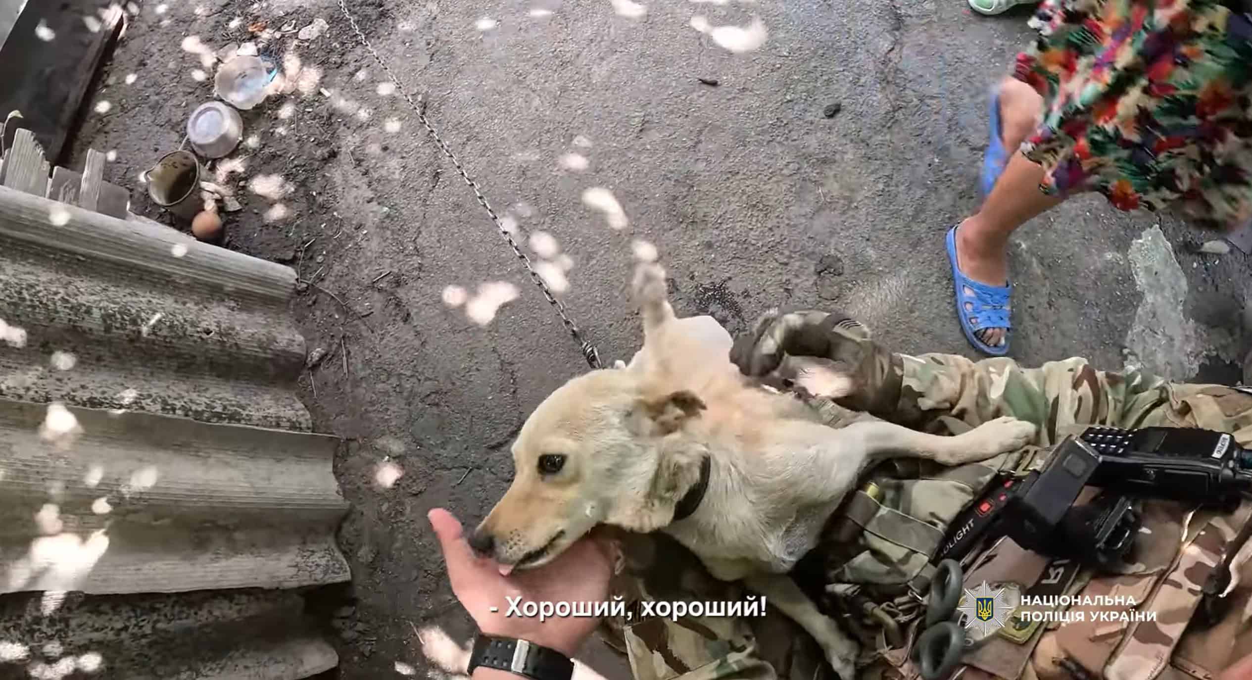 З фронтового мікрорайону Покровська евакуювали декілька людей. Яка там ситуація