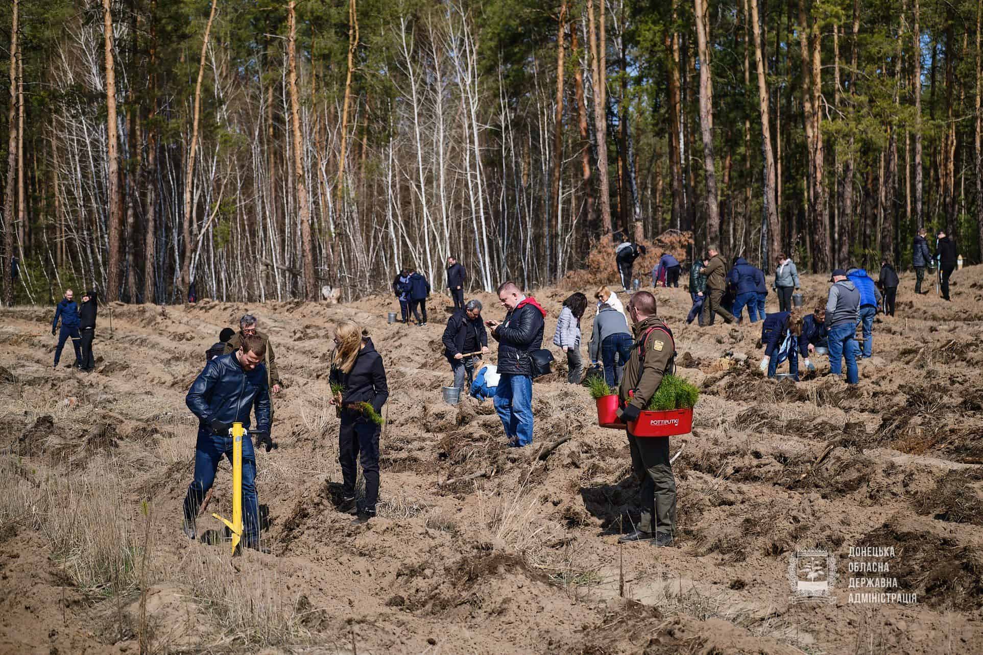 Зображення до посту: Чому припинив існування Лиманський лісгосп і що буде з лісами регіону (інтерв’ю з колишнім директором)