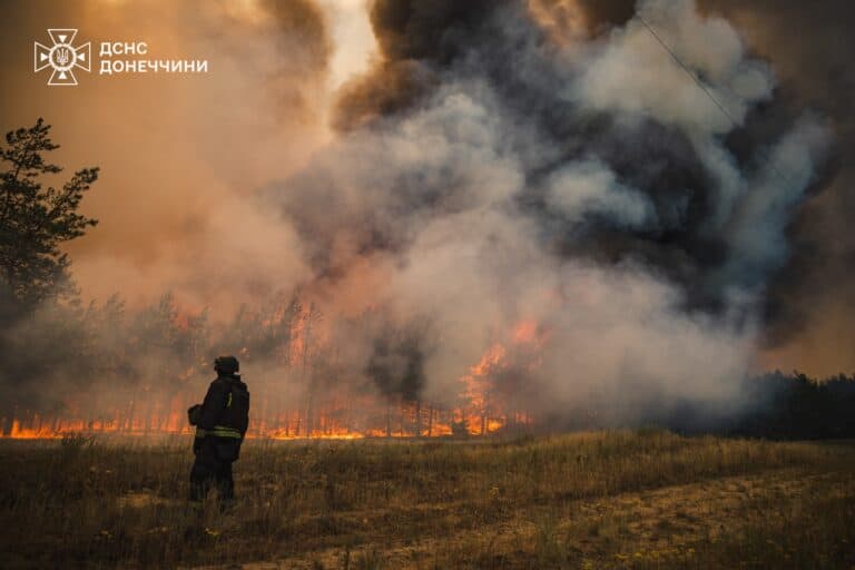 Після обстрілів у Краматорському районі згоріло близько 1400 гектарів лісу