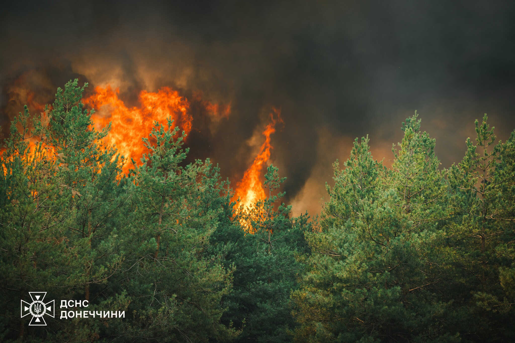 Зображення до посту: Після обстрілів у Краматорському районі згоріло близько 1400 гектарів лісу