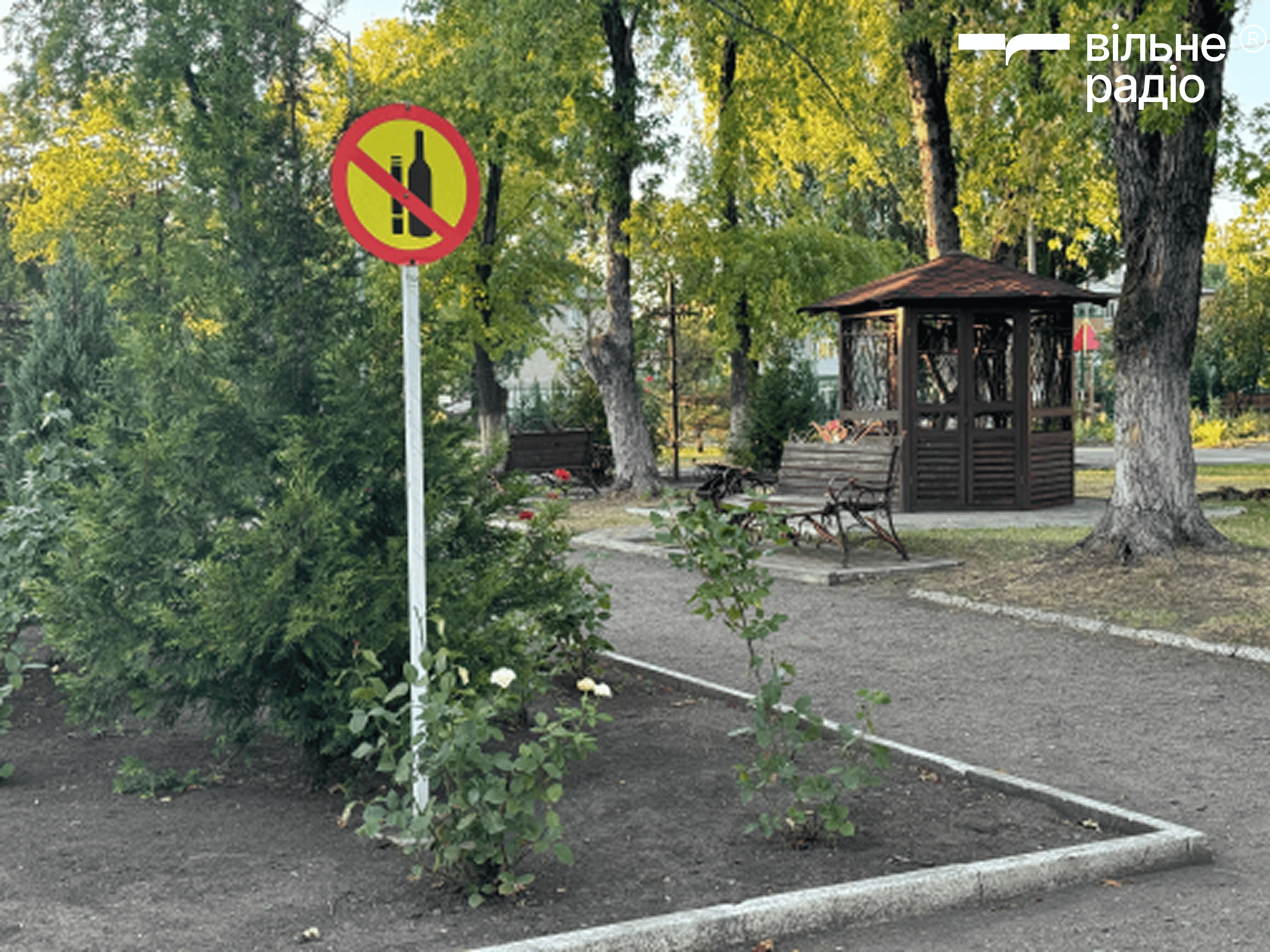 Який вигляд має Білозерське у серпні 2025 року: фоторепортаж