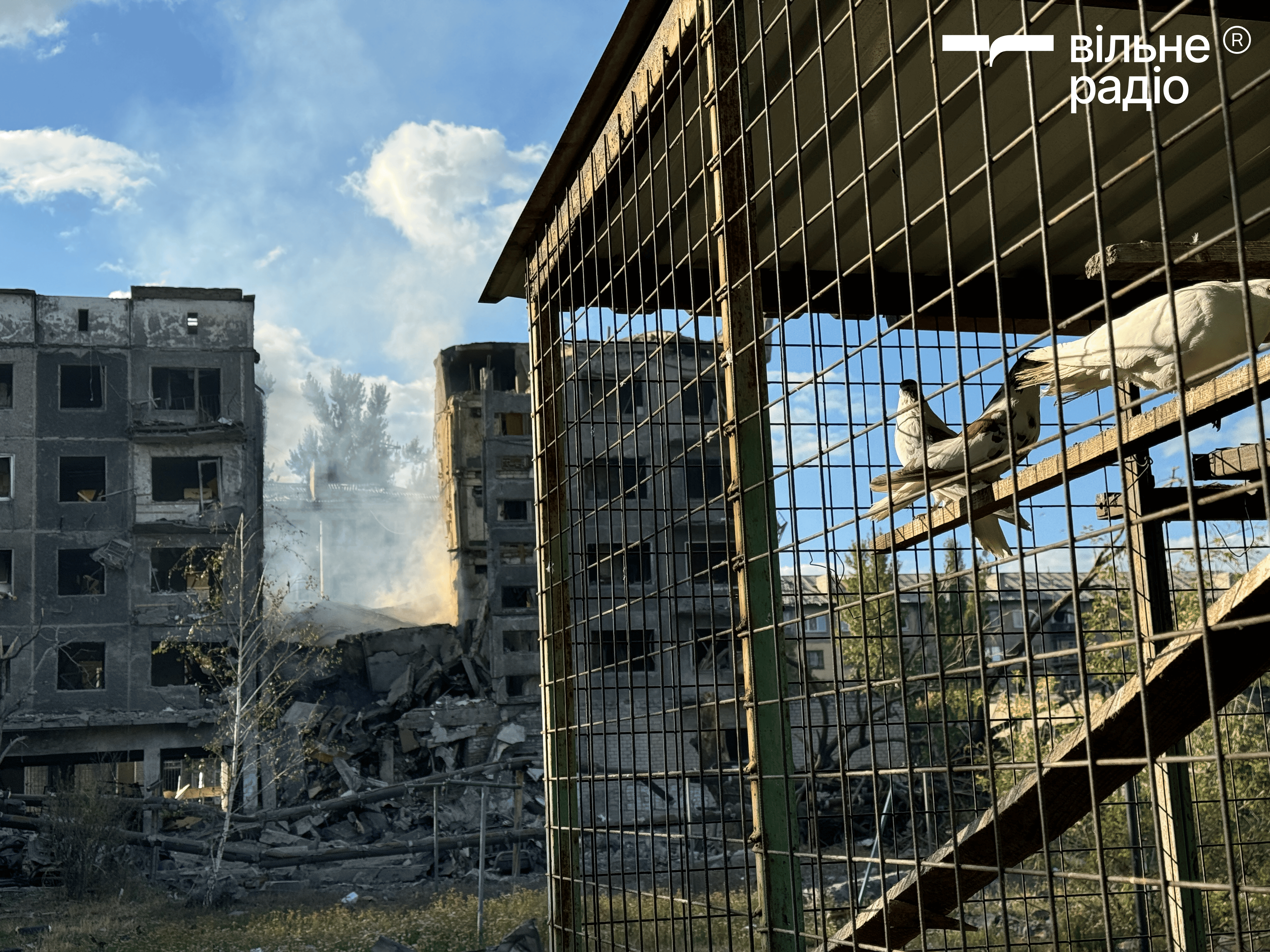 Який вигляд має Білозерське у серпні 2025 року: фоторепортаж