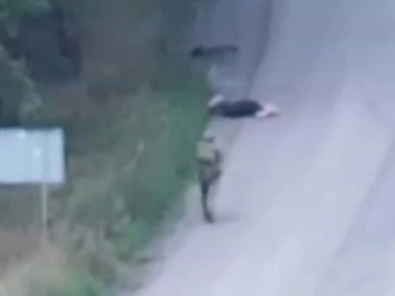 Що відомо про ймовірну страту цивільного поблизу Родинського
