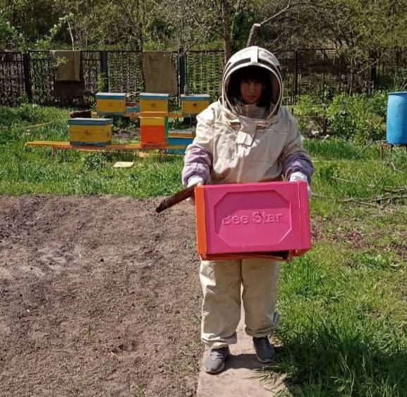 Зображення до посту: “Каждый день приносит открытия”: как переселенка из Бахмута с нуля развивает пасеку под Кременчугом