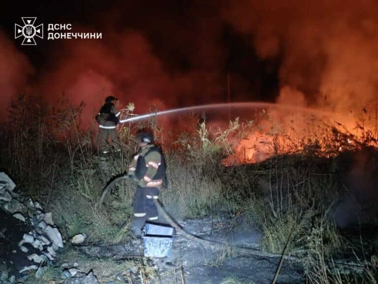 Минулого дня 11 із 14 пожеж на Донеччині виникли через обстріли, — ДСНС