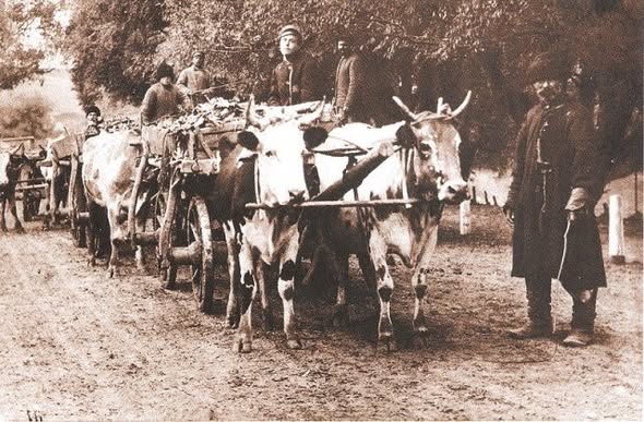 Зображення до посту: Містична Донеччина: як  у степах і шахтах народжувалися страшні легенди