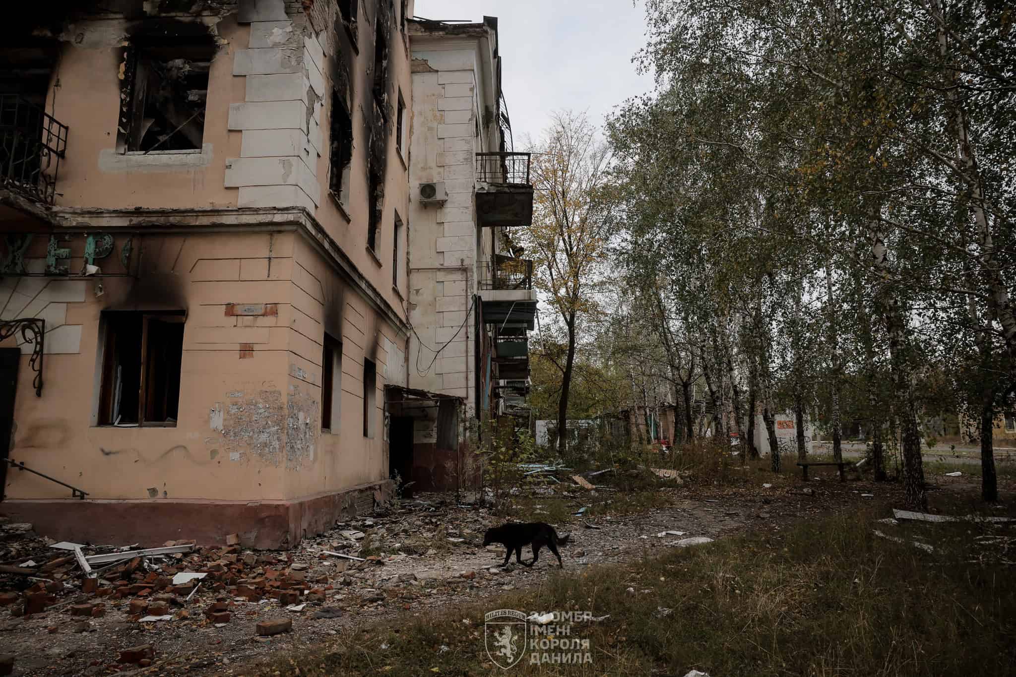Костянтинівка у жовтні 2025 року