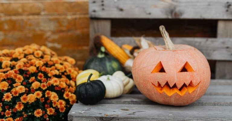 Містична Донеччина: як  у степах і шахтах народжувалися страшні легенди