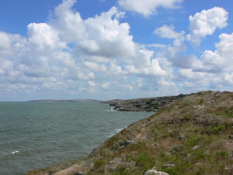 С начала открытого вторжения природно-заповедный фонд Донетчины понес ущерб на более чем 2 триллиона гривен