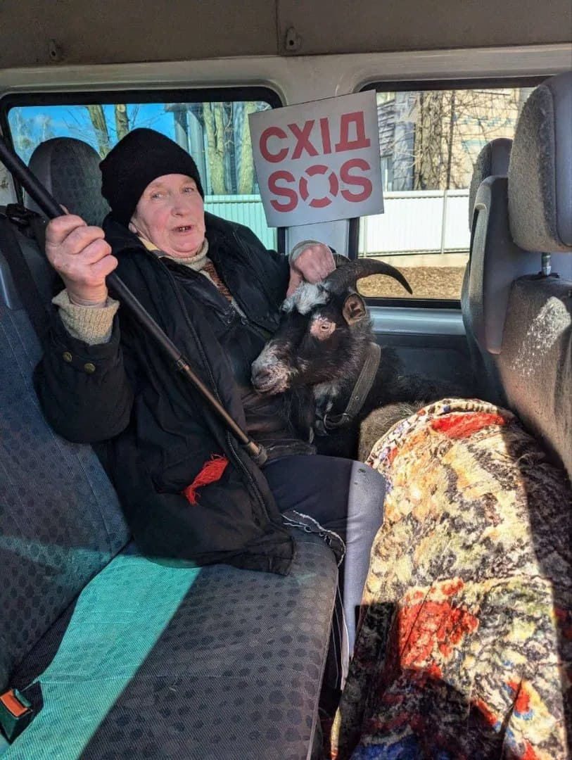 Зображення до посту: “Я без свого котика не поїду”: як війна змінює ставлення українців до тварин і чому евакуація не завжди дорівнює порятунку