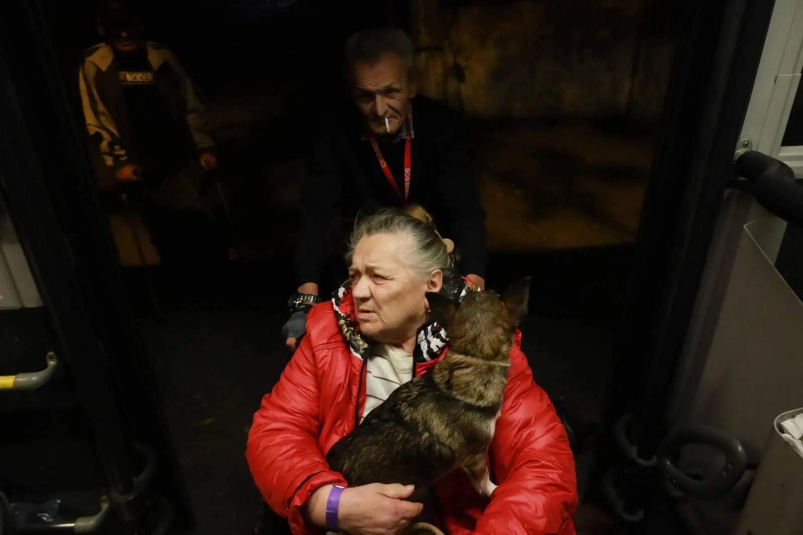 Зображення до посту: “Я без свого котика не поїду”: як війна змінює ставлення українців до тварин і чому евакуація не завжди дорівнює порятунку