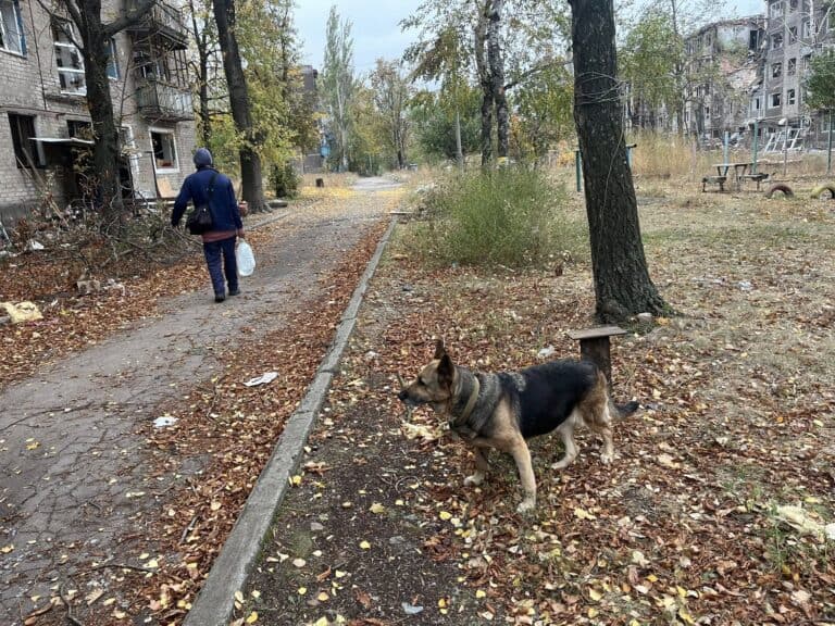 Из Константиновки эвакуировали еще двоих детей: волонтеры нашли их, когда приехали за маломобильной женщиной