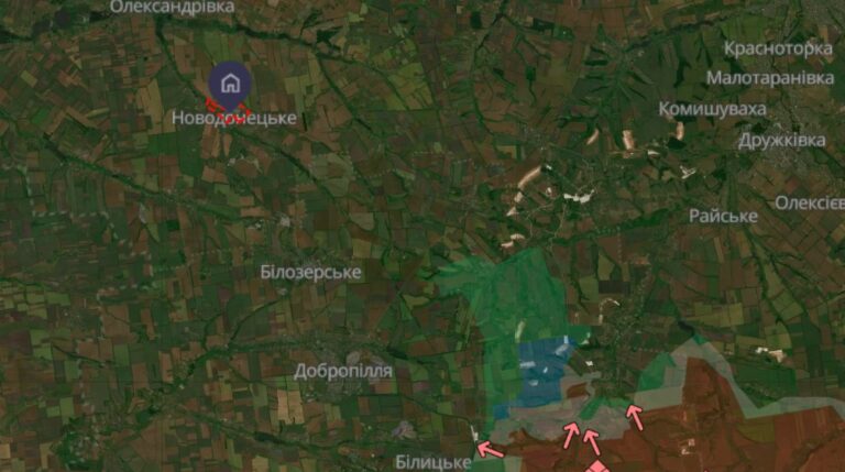 В Новодонецкой громаде остаются около пяти тысяч человек, почти половина из них — ВПЛ