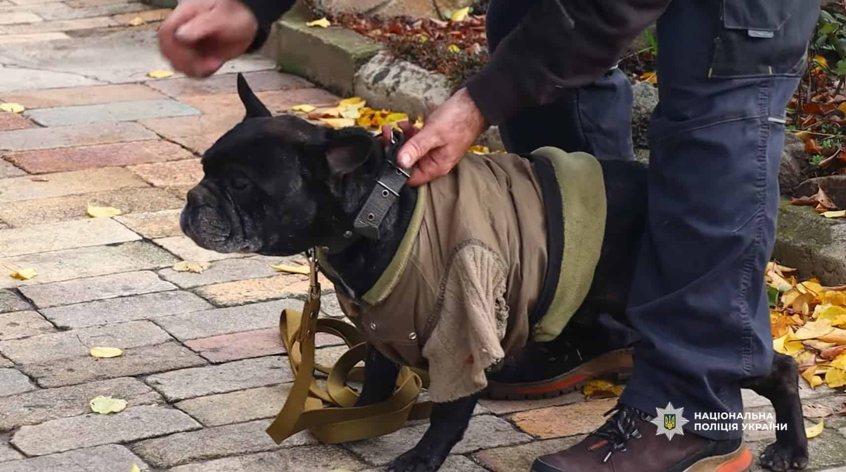 З Костянтинівки евакуювали родину з 15-річним підлітком: дітей у місті офіційно немає