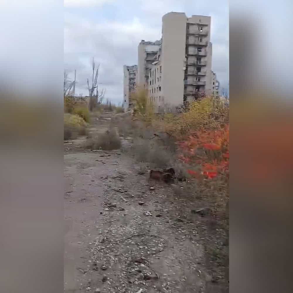 Гуртожиток по вулиці Павла Новгородцева (колишній Дзержинського) №41 у листопаді 2025 року