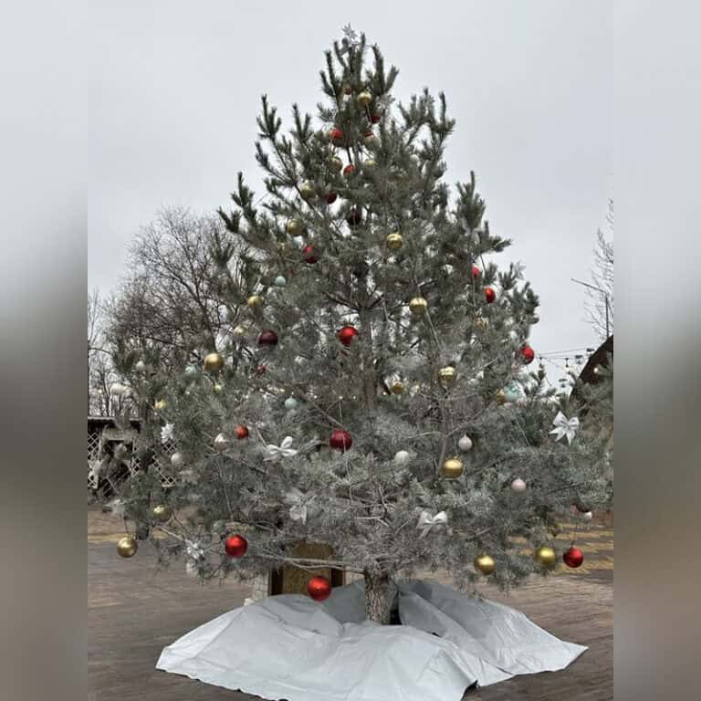 В прифронтовом Славянске к рождественским и новогодним праздникам установили и украсили елку