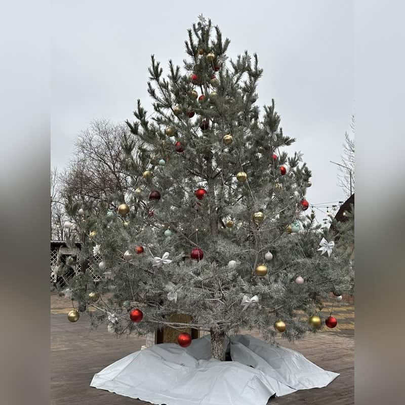 Новорічна ялинка у Слов’янську, 6 грудня 2025 року