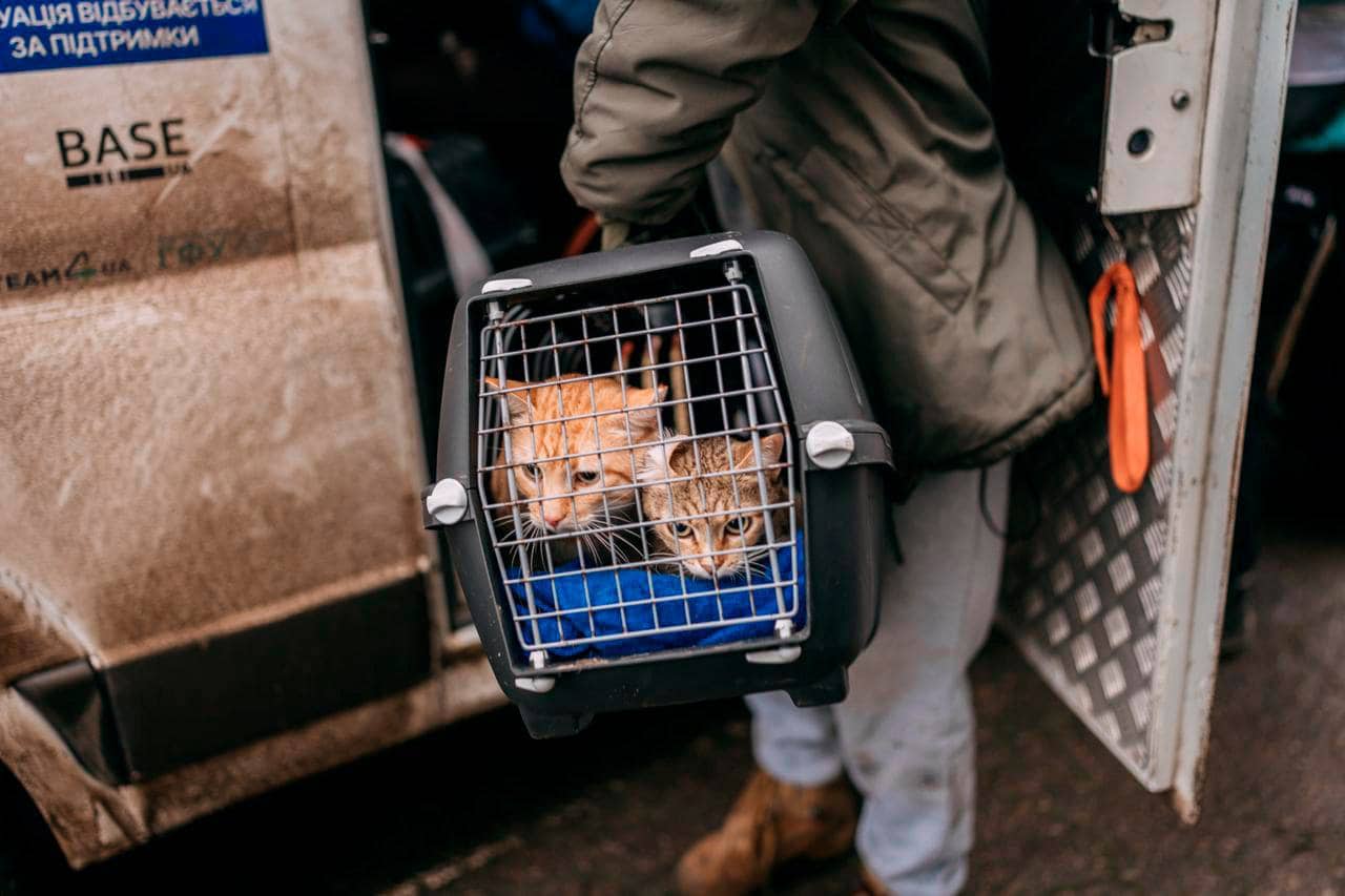 Олексієво-Дружківка евакуація