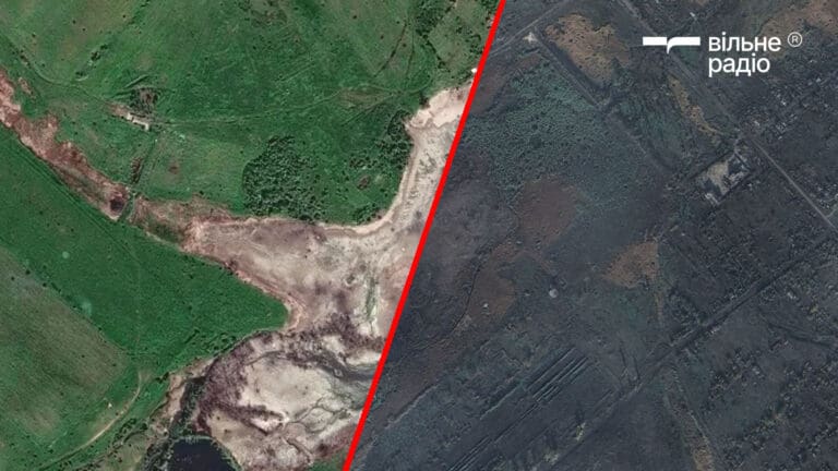 Восьмий ставок у Бахмуті заростає та поступово перетворюється на ліс (деталі)