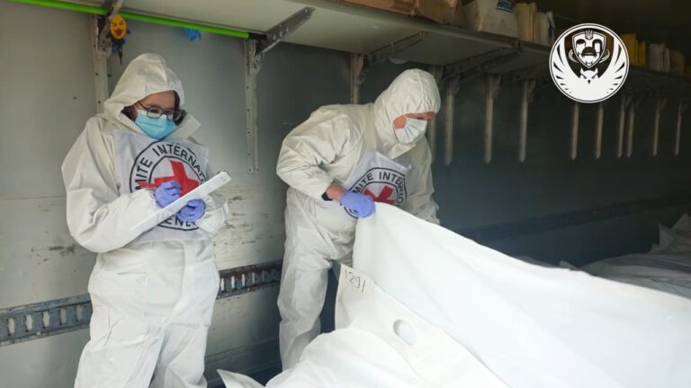 На подконтрольную Украине территорию вернули еще 1003 тела погибших: Россия заявляет, что они принадлежат украинским военным