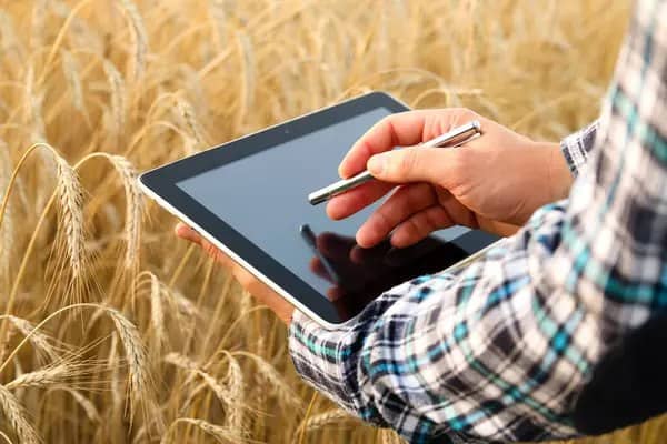 Агропроизводителям из пострадавших регионов открыли бесплатную консультационную линию