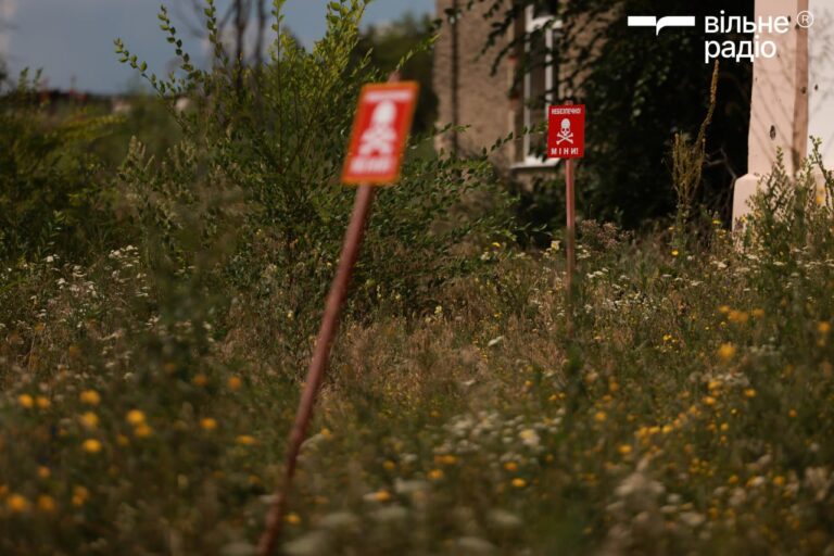 Пиротехники за год на Донетчине уничтожили более 5 тысяч боеприпасов, — ГСЧС