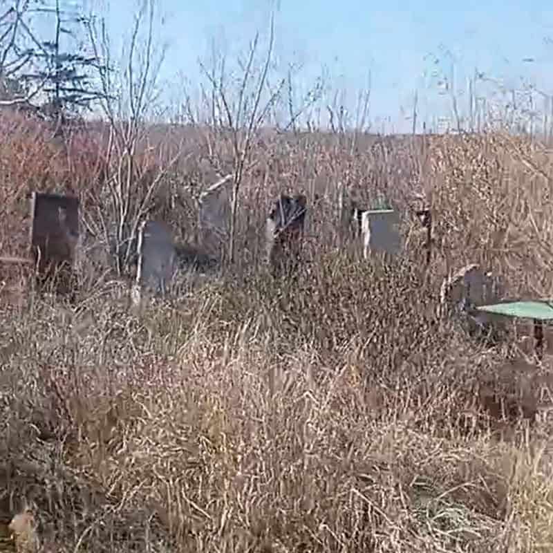 Маріупольське кладовище у Бахмуті, листопад 2025 року