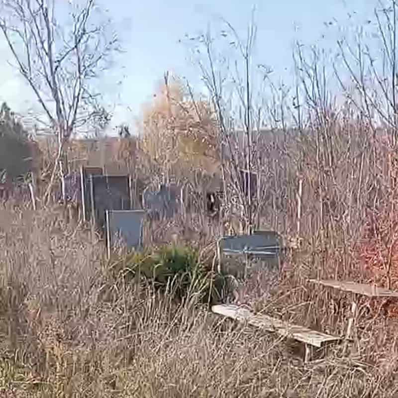 Маріупольське кладовище у Бахмуті, листопад 2025 року