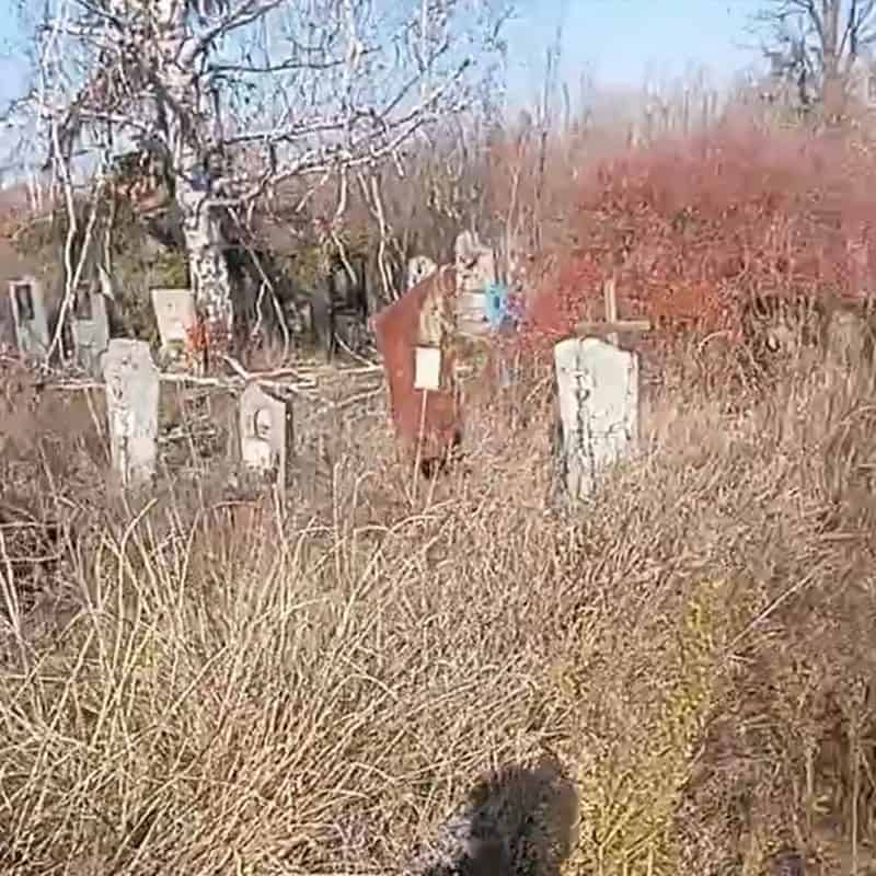 Зображення до посту: Сколоті надгробки та переламані лави: який вигляд має Маріупольське кладовище у Бахмуті восени 2025 року