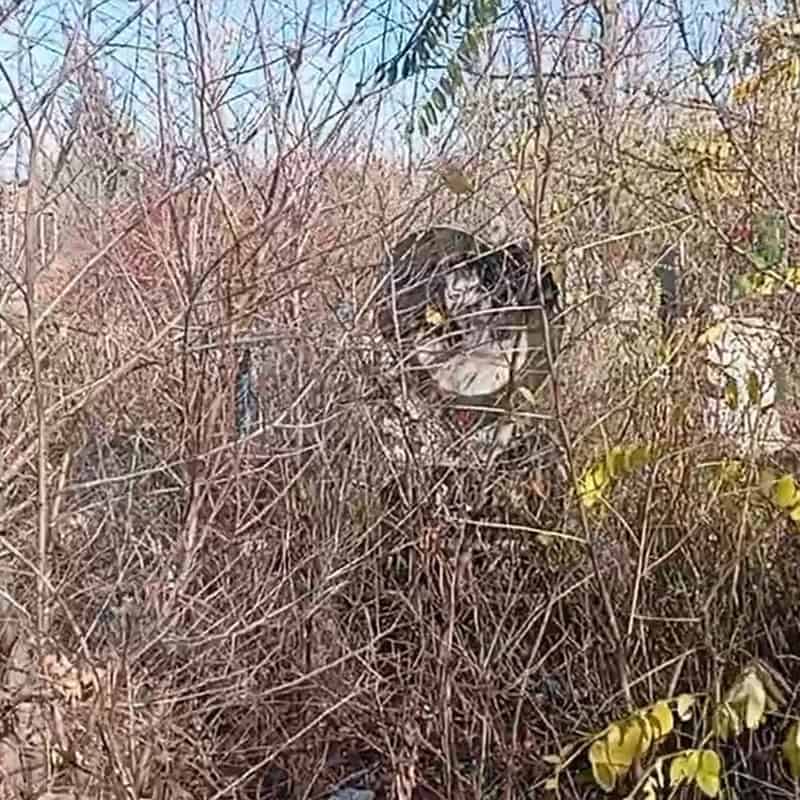 Маріупольське кладовище у Бахмуті, листопад 2025 року