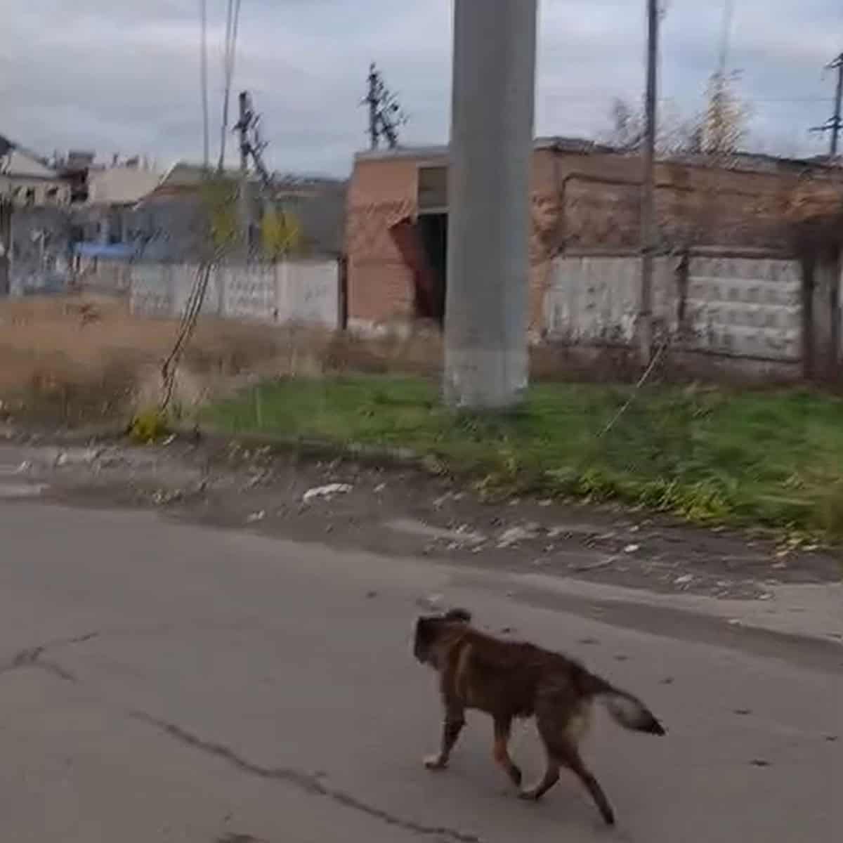 Зображення до посту: Всіхсвятський храм, обеліск та пам’ятники геологу і Булавіну: який вигляд має центр Бахмута у листопаді 2025 року