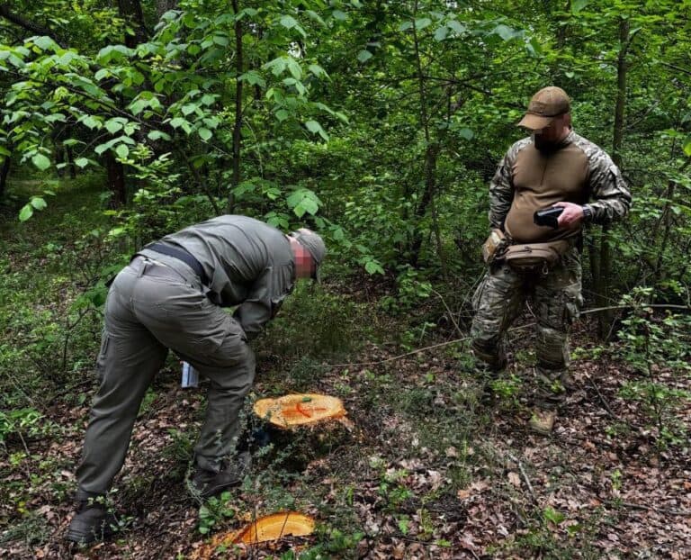 Дело бывшей руководительницы Славянского лесхоза и ее подчиненных передали в суд: что известно