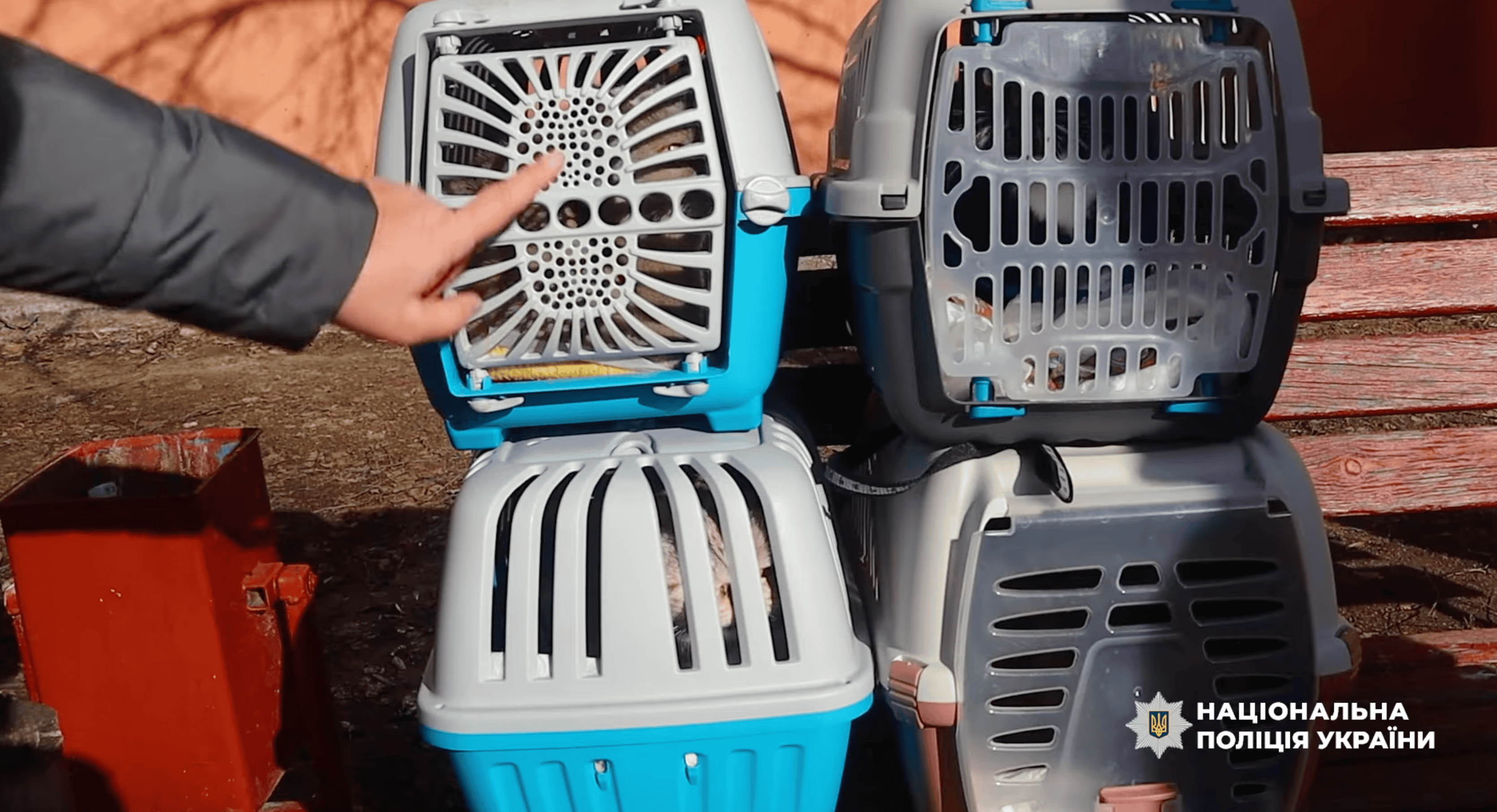 З Миколаївки евакуювали ще понад 20 людей, зокрема дитину