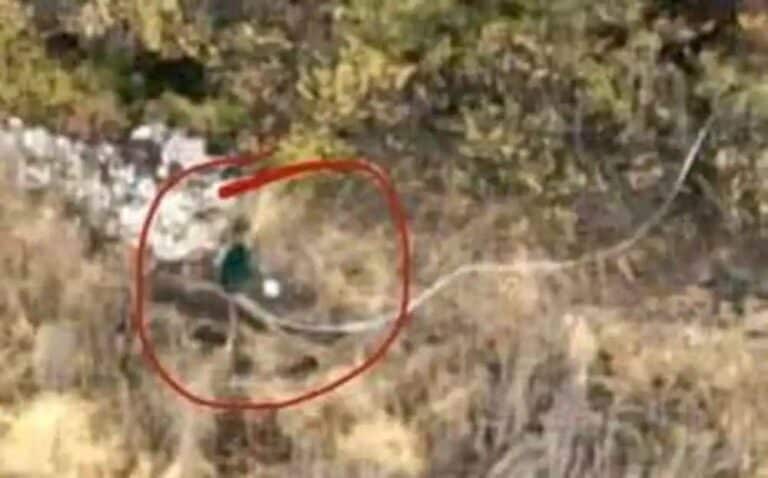 Окупанти на Краматорському напрямку без станцій Starlink йдуть на штурми без зв’язку і частіше здаються в полон