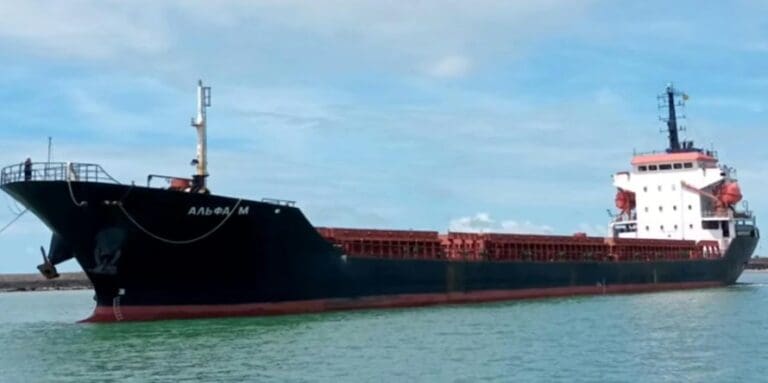 Російська компанія, пов’язана з виробником дронів, постачала зерно з Маріуполя партнеру ООН, — журналісти-розслідувачі