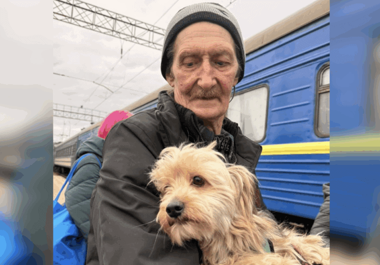 В Краматорске и Славянске увеличилось количество желающих эвакуироваться, — «Пролиска»