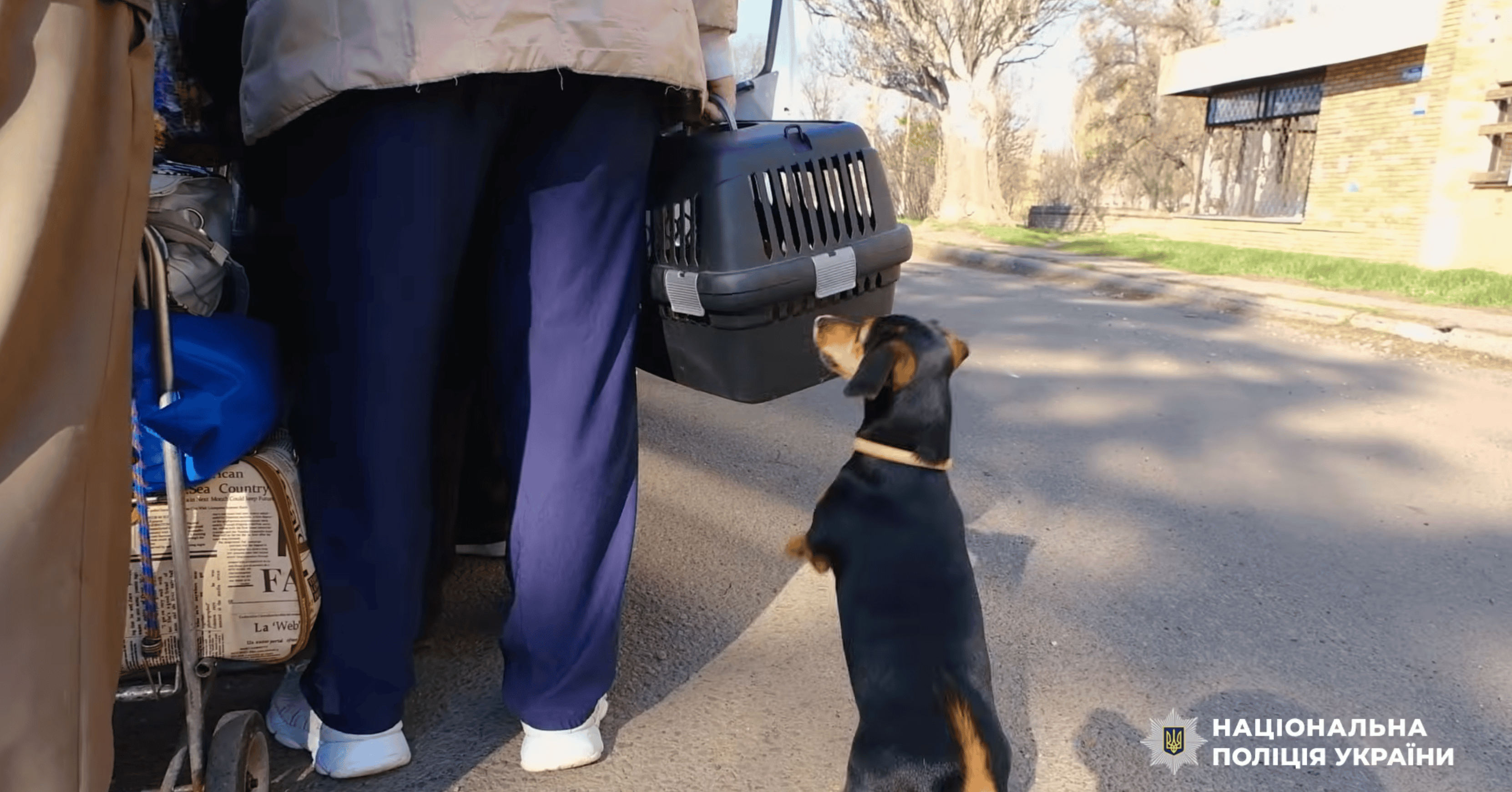 "Жити нестерпно": з прифронтової Миколаївки евакуювали ще 9 людей