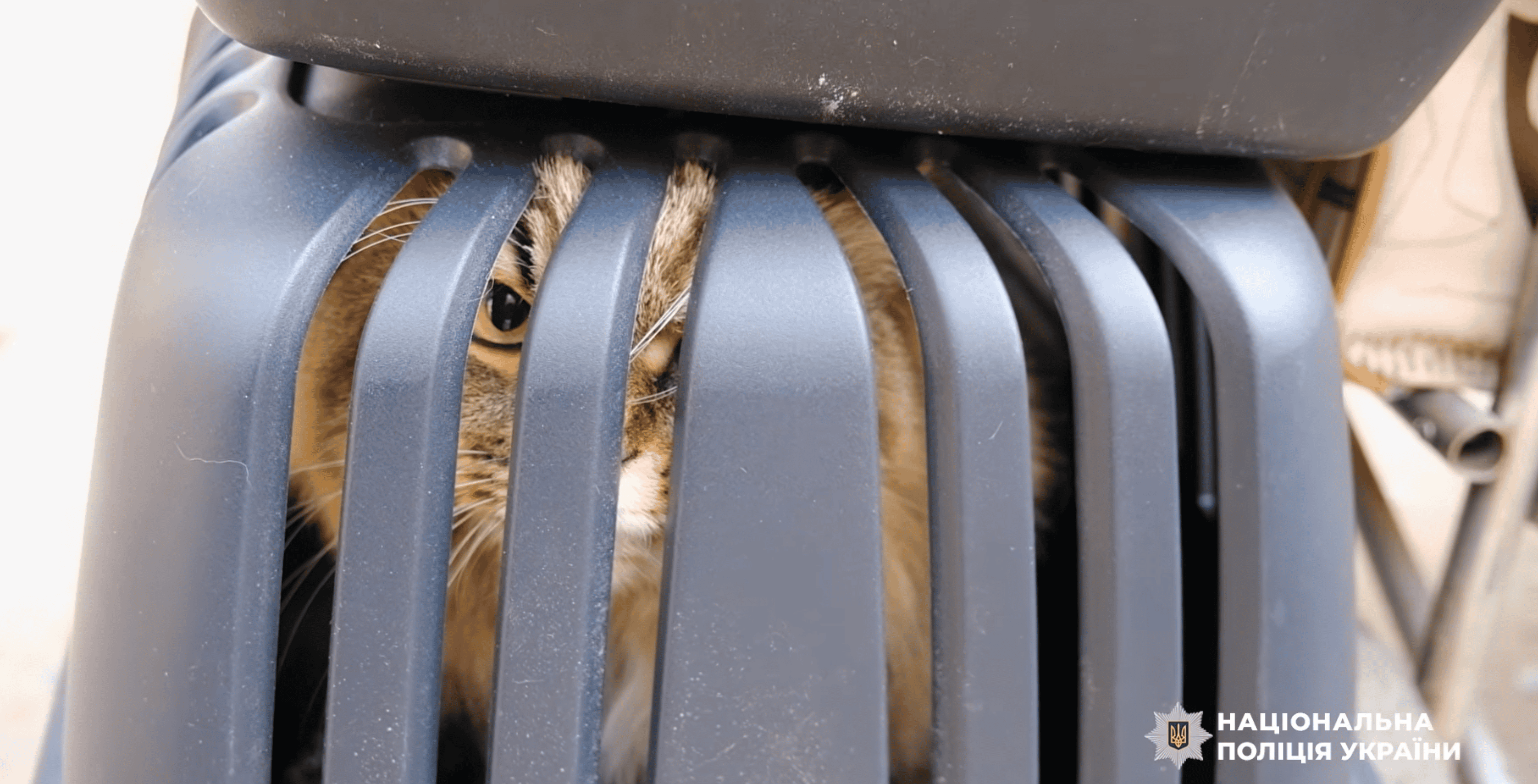 "Жити нестерпно": з прифронтової Миколаївки евакуювали ще 9 людей