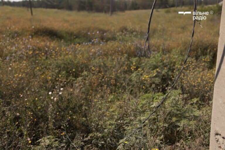 За 2025 рік довкілля Лиманської громади зазнало збитків через забруднення щонайменше на понад 54 млн грн