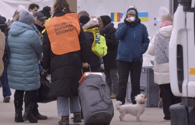 З початку 2026 року з Донеччини евакуювали понад 2,5 тисячі дітей