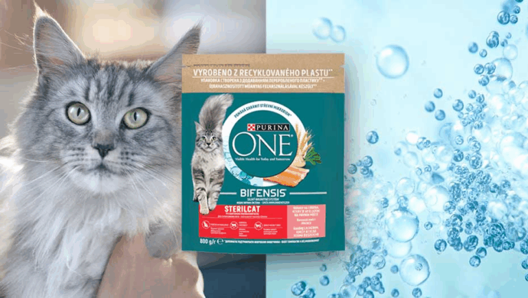 Purina ONE для котів: яким тваринам підходить корм та як зрозуміти, що раціон вибрано правильно