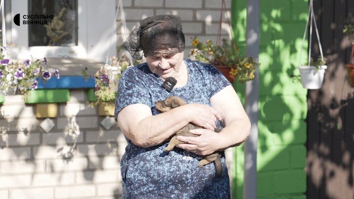 Як у родині на Вінниччині живе евакуйована з Костянтинівки собака Джесі