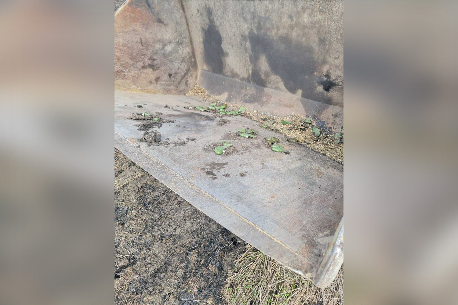 Протипіхотні міни “Пелюстки”, які збирають у ковш трактора для знищення у Донецькій області